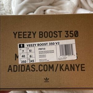 Mens Yeezy Boost 350